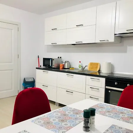 New And Modern In Villa, Near Center M36 Apartment Timisoara