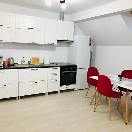 New And Modern In Villa, Near Center M36 Apartment Timisoara