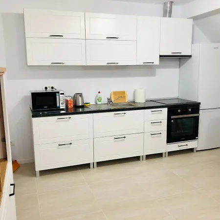 New And Modern In Villa, Near Center M36 Timisoara