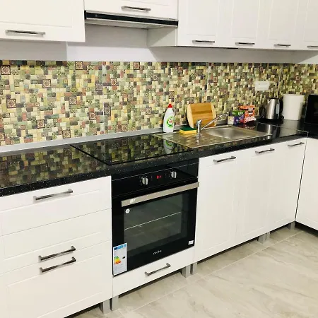 New And Modern In Villa, Near Center M36 Timisoara