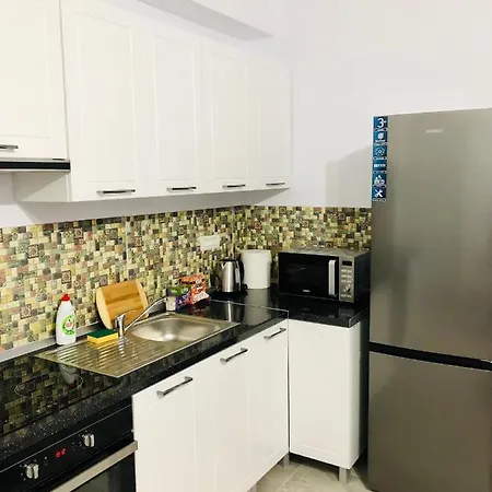 New And Modern In Villa, Near Center M36 Apartment Timisoara