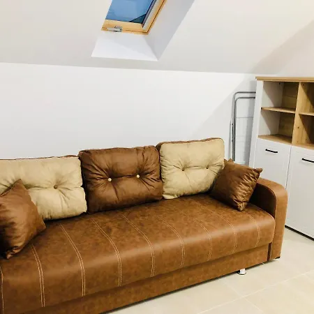 New And Modern In Villa, Near Center M36 Timisoara
