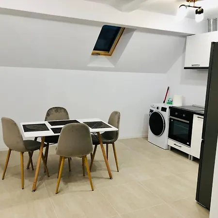 New And Modern In Villa, Near Center M36 * Timisoara