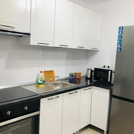 New And Modern In Villa, Near Center M36 Apartment Timisoara